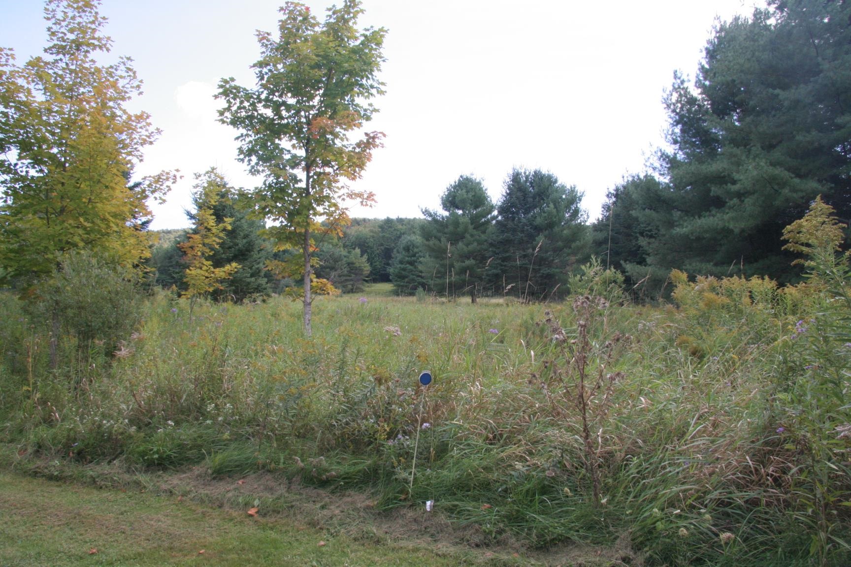 991 Simpson Brook Road Waterford, VT 05819 - Photo 8 of 26