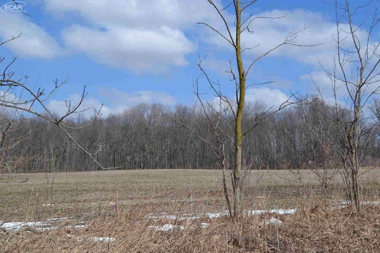 0 Lahring Road Byron, MI 48418 - Photo 7 of 11