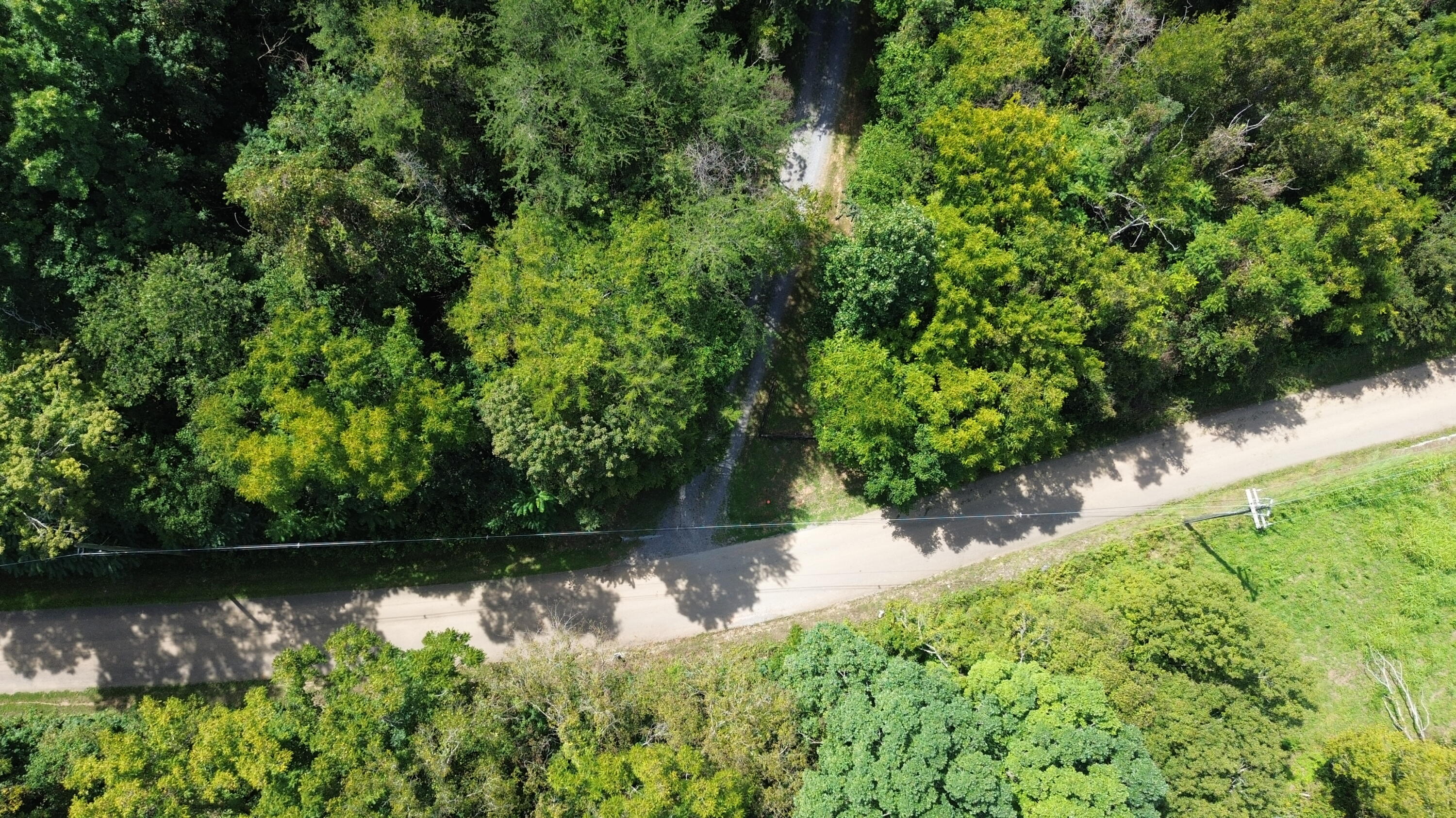 142 Ninny Ridge Road Whitesburg, TN 37891 - Photo 41 of 70 DJI_0128