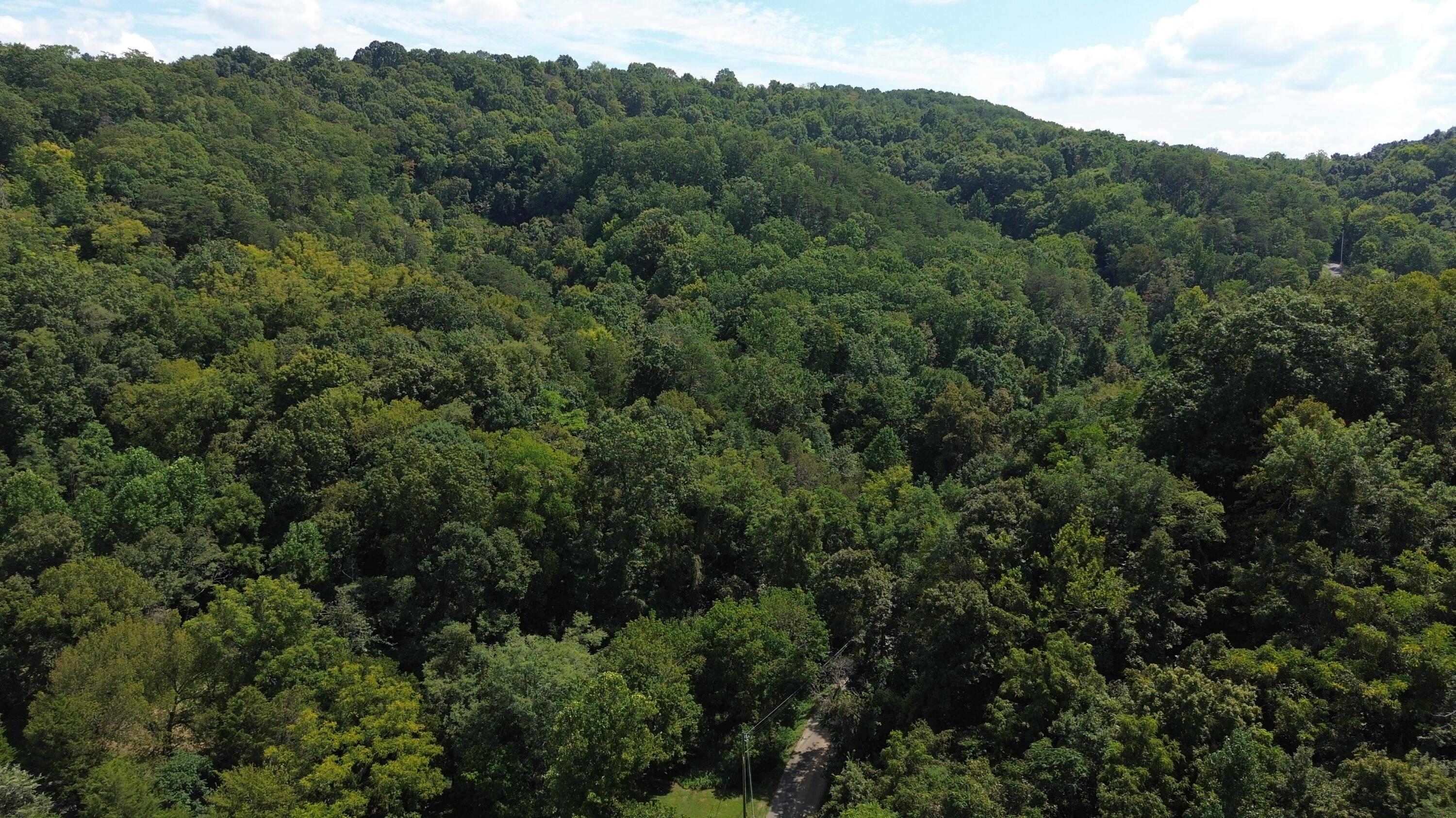 142 Ninny Ridge Road Whitesburg, TN 37891 - Photo 45 of 70 DJI_0132