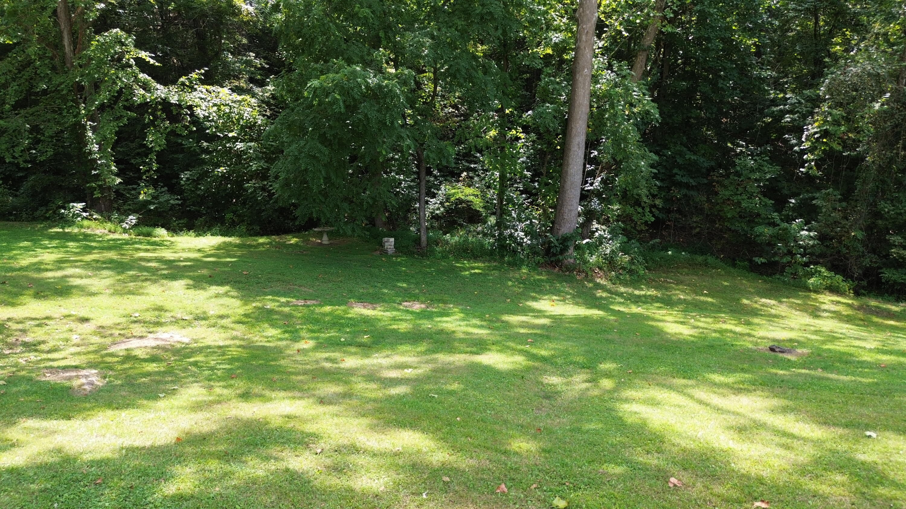 142 Ninny Ridge Road Whitesburg, TN 37891 - Photo 52 of 70 DJI_0152