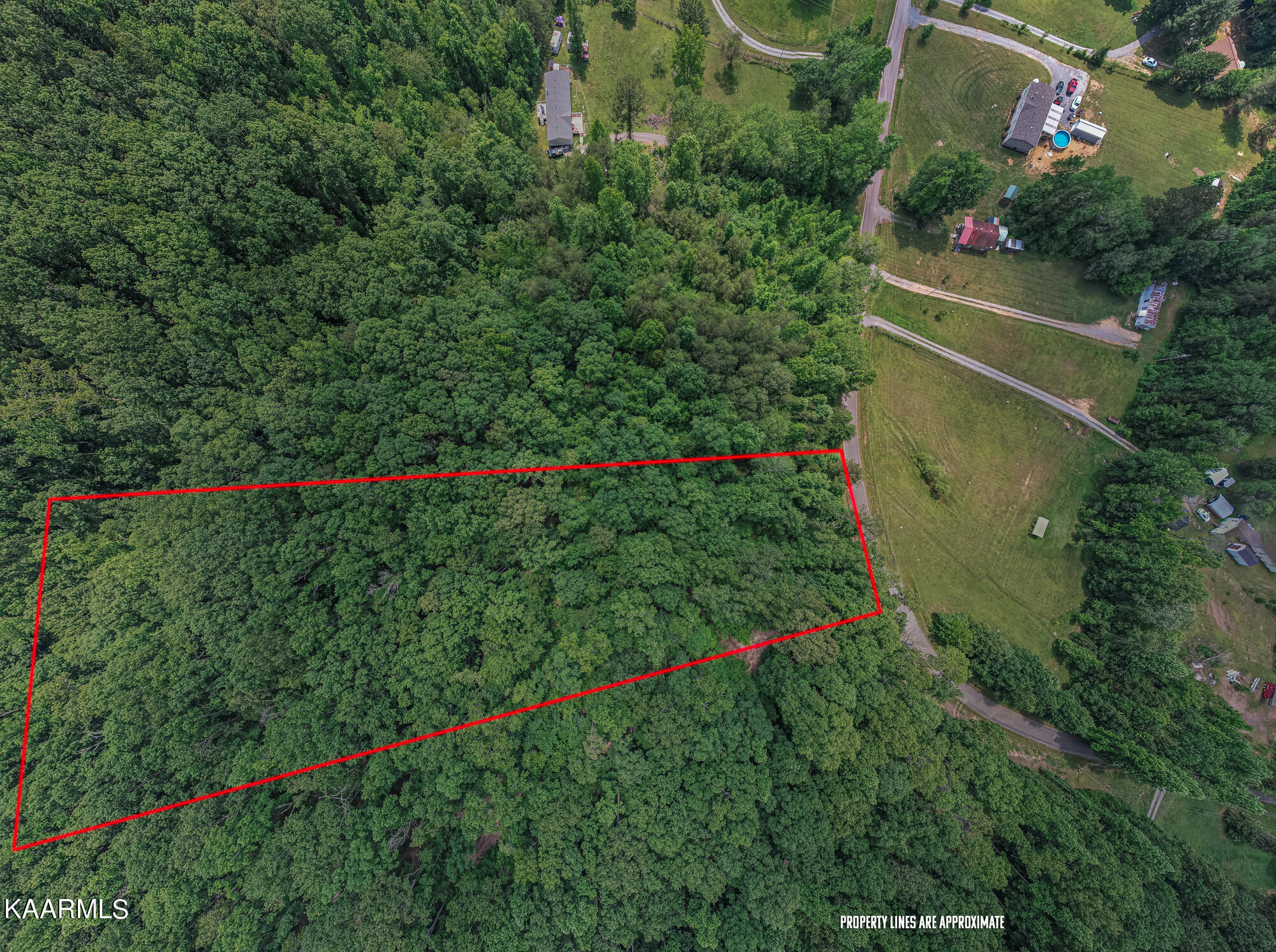179 County Road 179 Road Decatur, TN 37322 - Photo 3 of 12 County Road 179-9