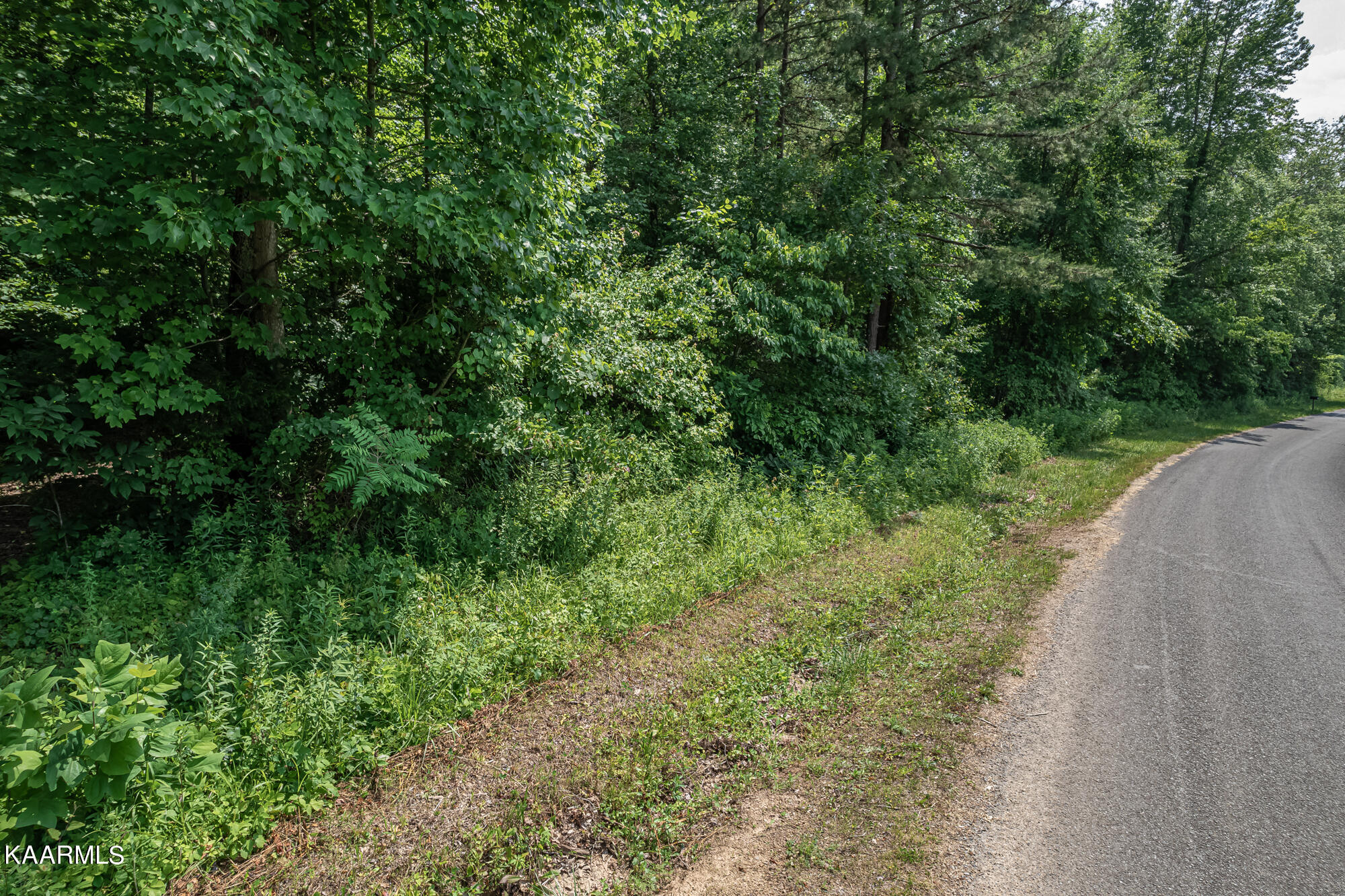179 County Road 179 Road Decatur, TN 37322 - Photo 5 of 12 County Road 179-6
