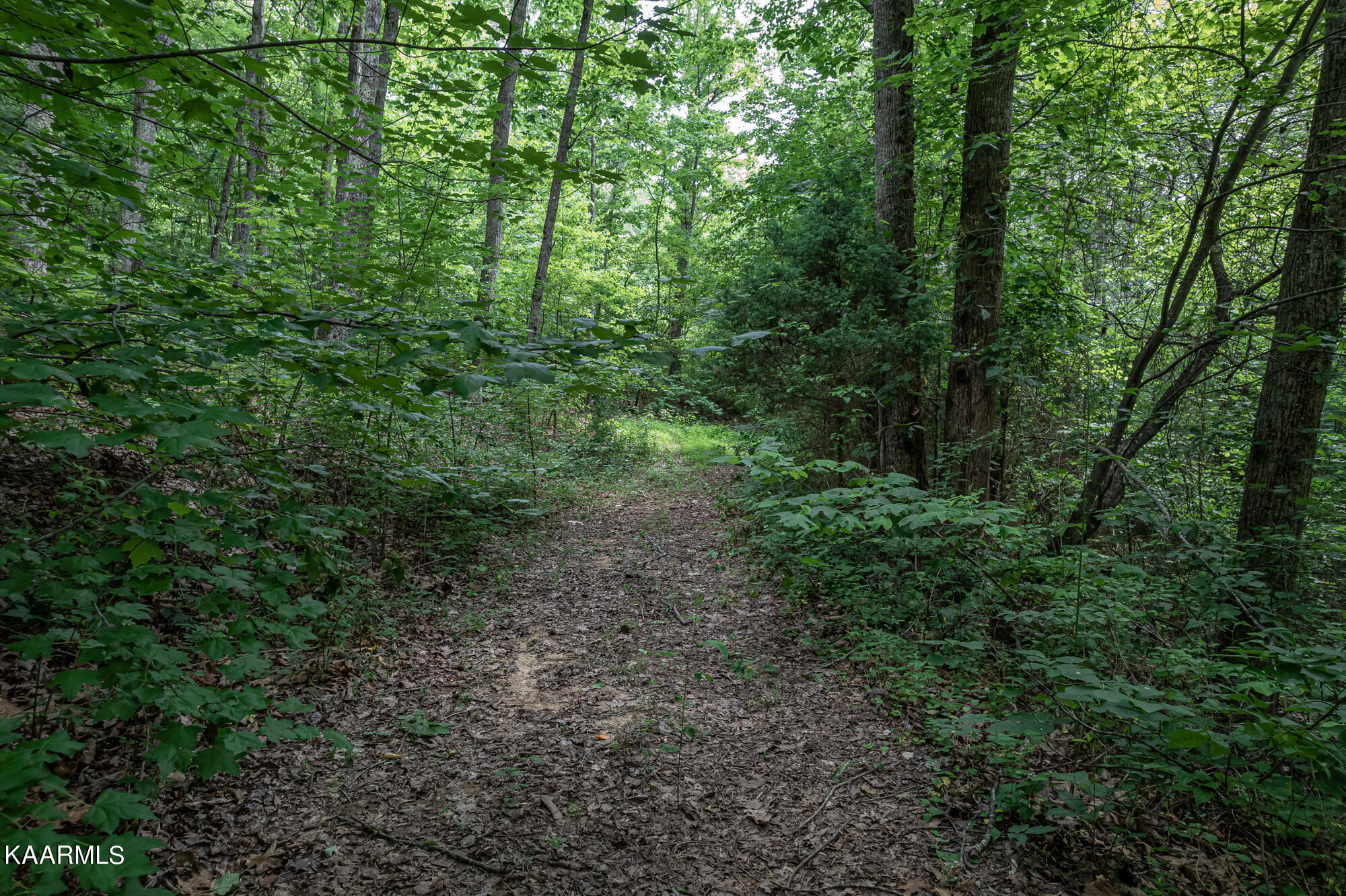 179 County Road 179 Road Decatur, TN 37322 - Photo 6 of 12 County Road 179-8