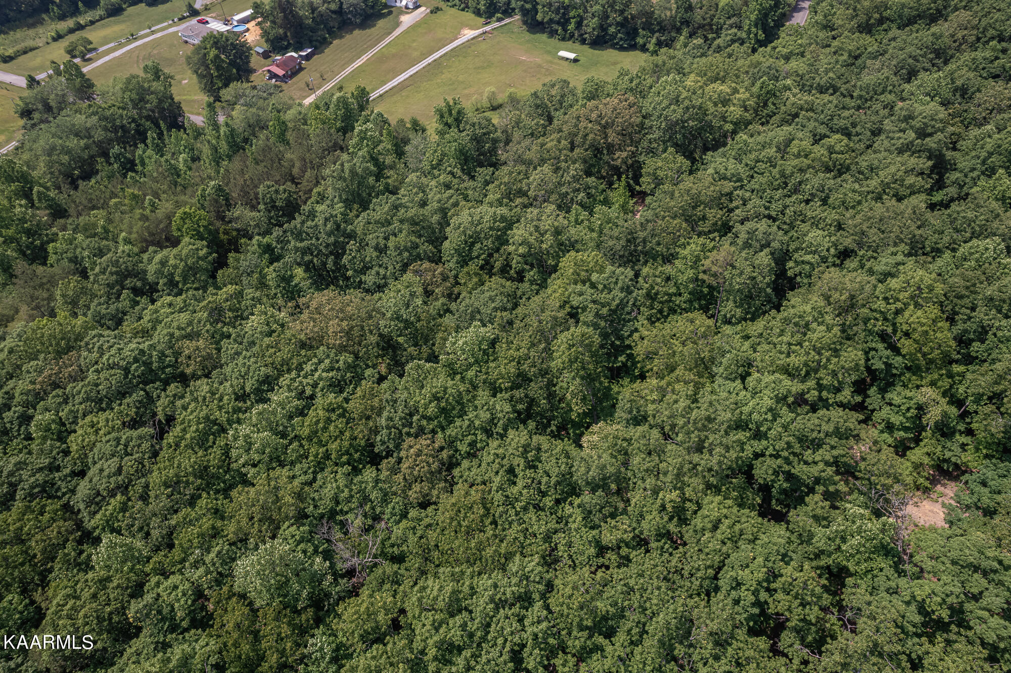 179 County Road 179 Road Decatur, TN 37322 - Photo 10 of 12 County Road 179-3