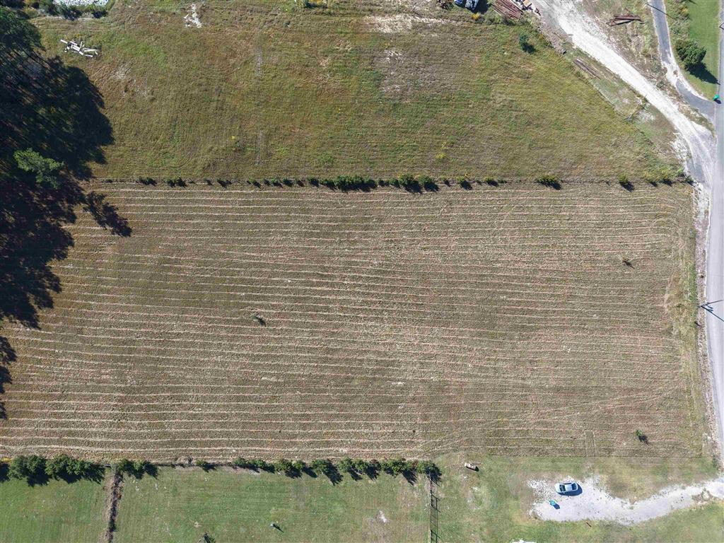 465 Lucius Marcantel Road Dequincy, LA 70633 - Photo 4 of 7