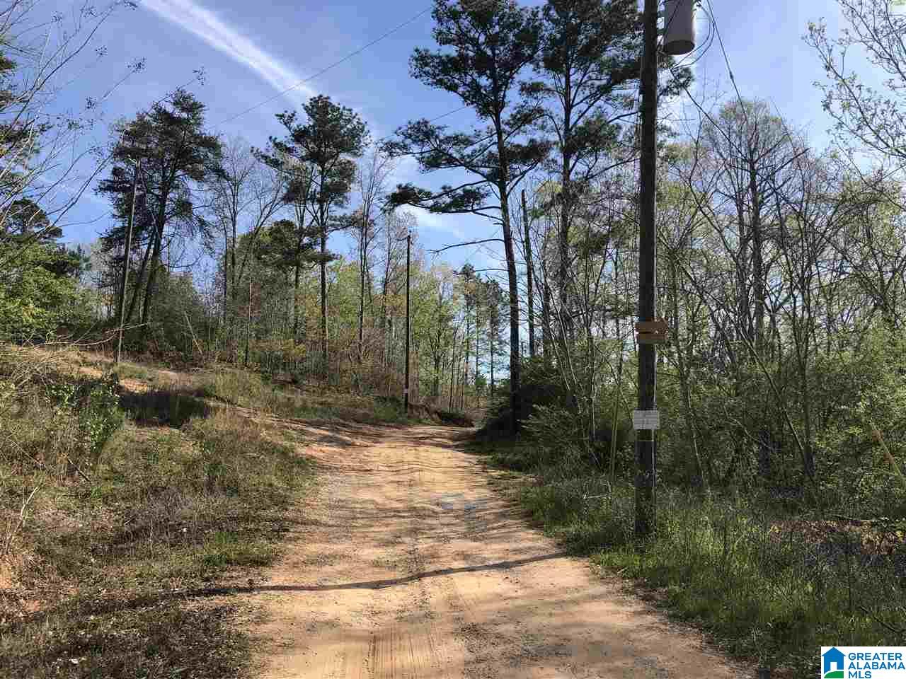 11-acres Morgan Road, Unit 11 ACRES Helena, AL 35022 - Photo 5 of 11