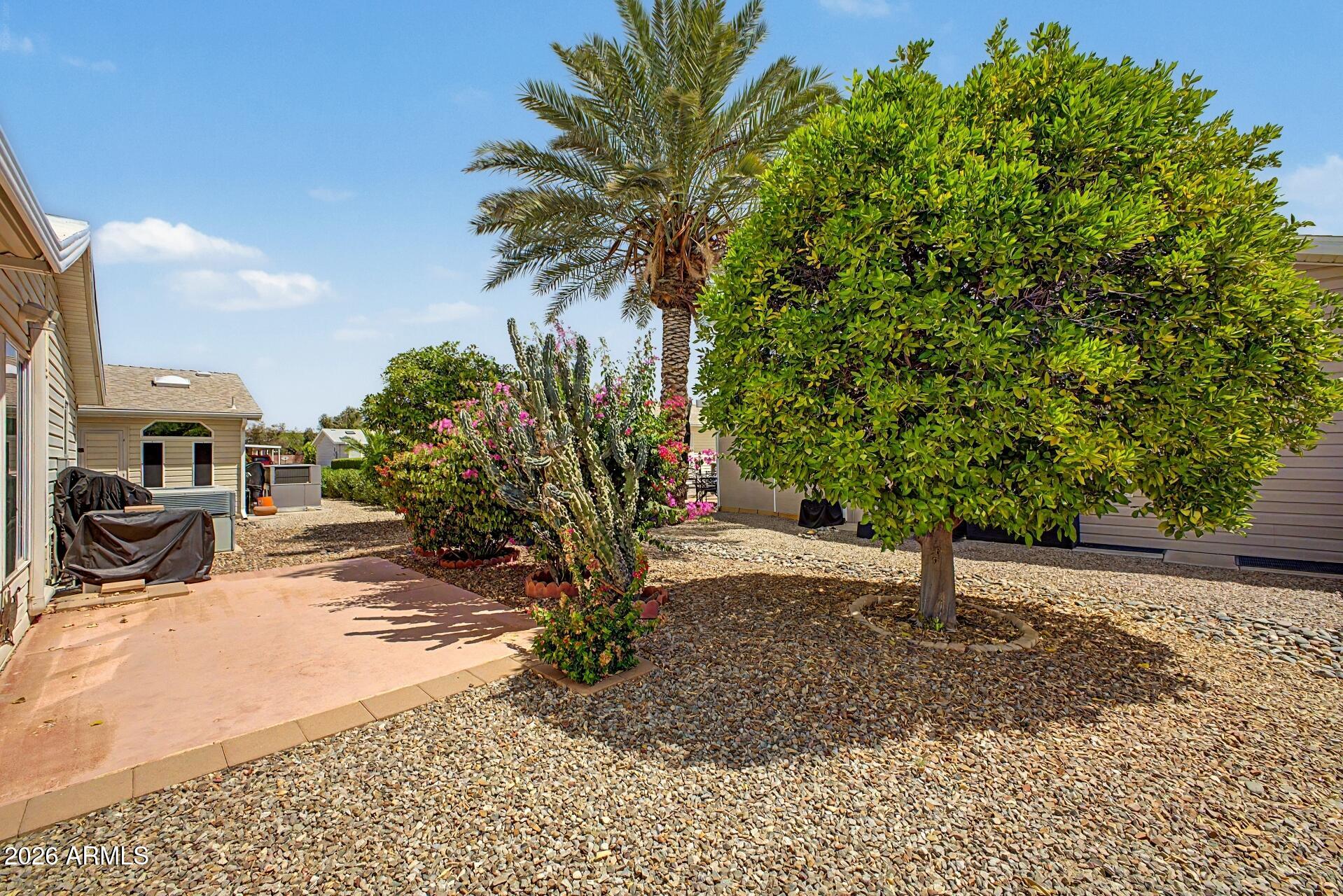 2550 South Ellsworth Road, Unit 50 Mesa, AZ 85209 - Photo 31 of 45 a view of a backyard with a tree