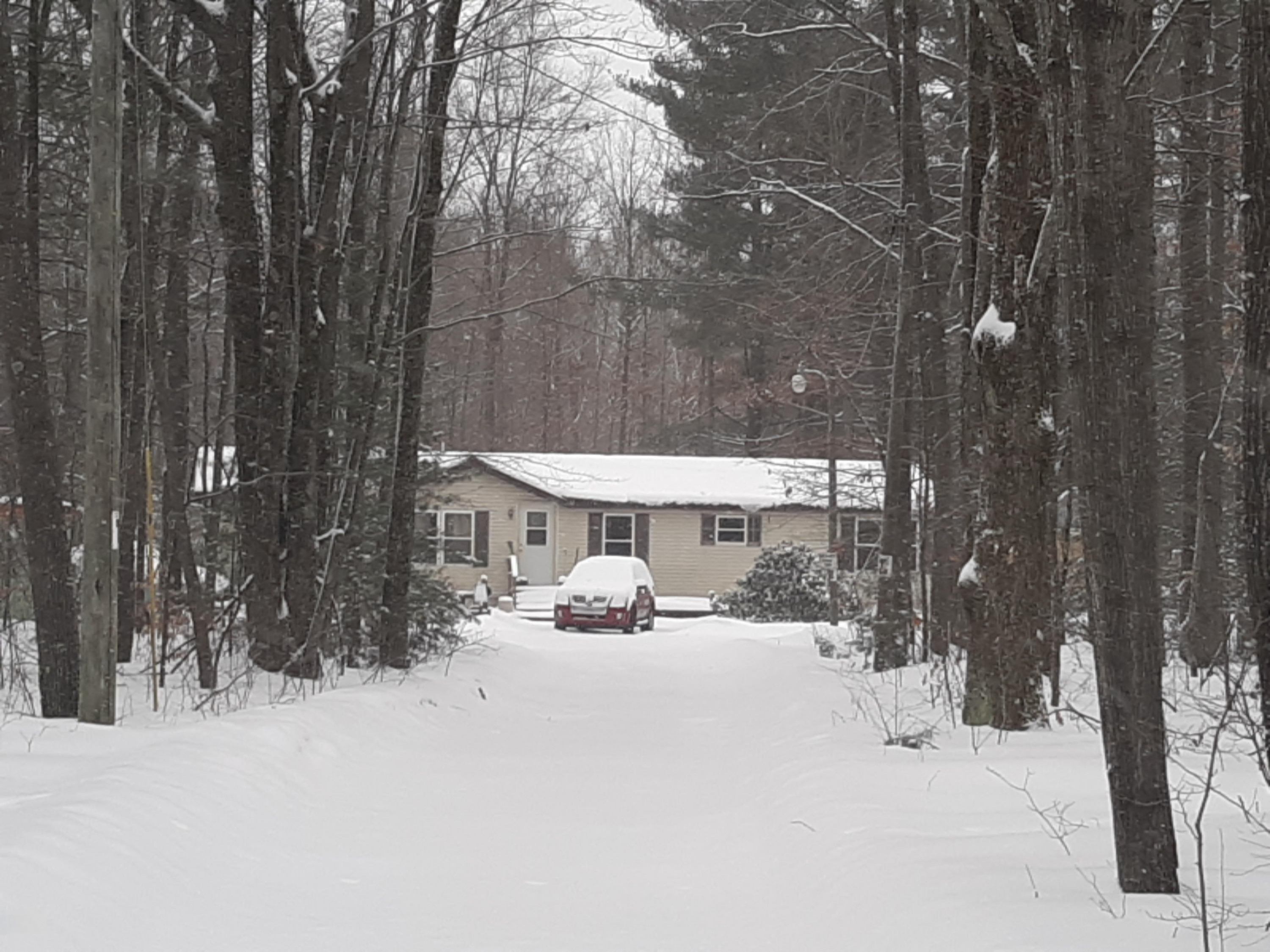 20190212_145918