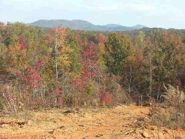 8.63-acres Miller Road, Unit MTN VIEWS Westminster, SC 29693 - Photo 1 of 5 Gallery Image 1