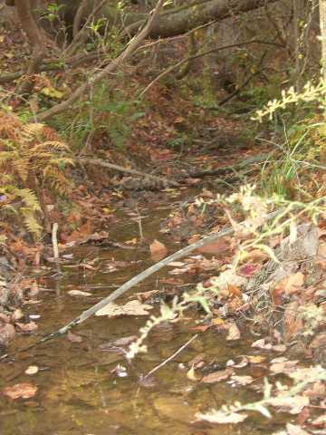 8.63-acres Miller Road, Unit MTN VIEWS Westminster, SC 29693 - Photo 2 of 5 Gallery Image 2