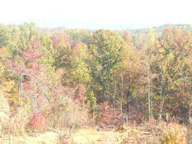 8.63-acres Miller Road, Unit MTN VIEWS Westminster, SC 29693 - Photo 5 of 5 Gallery Image 5