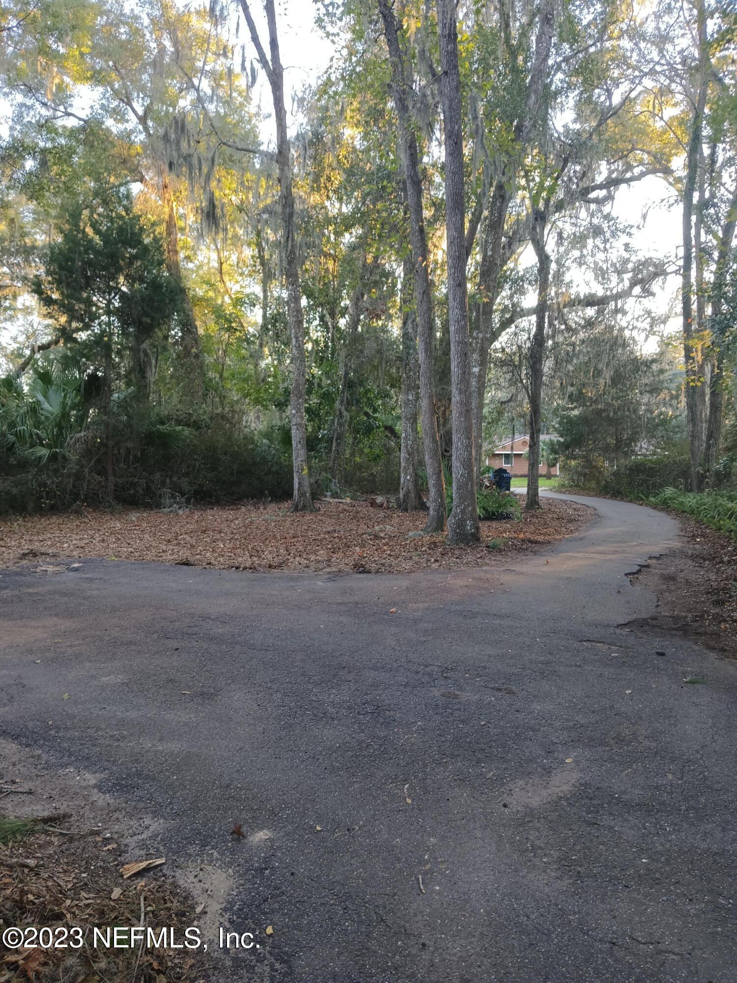 97612 Pirates Point Road Yulee, FL 32097 - Photo 16 of 23 a view of a forest with trees in the background
