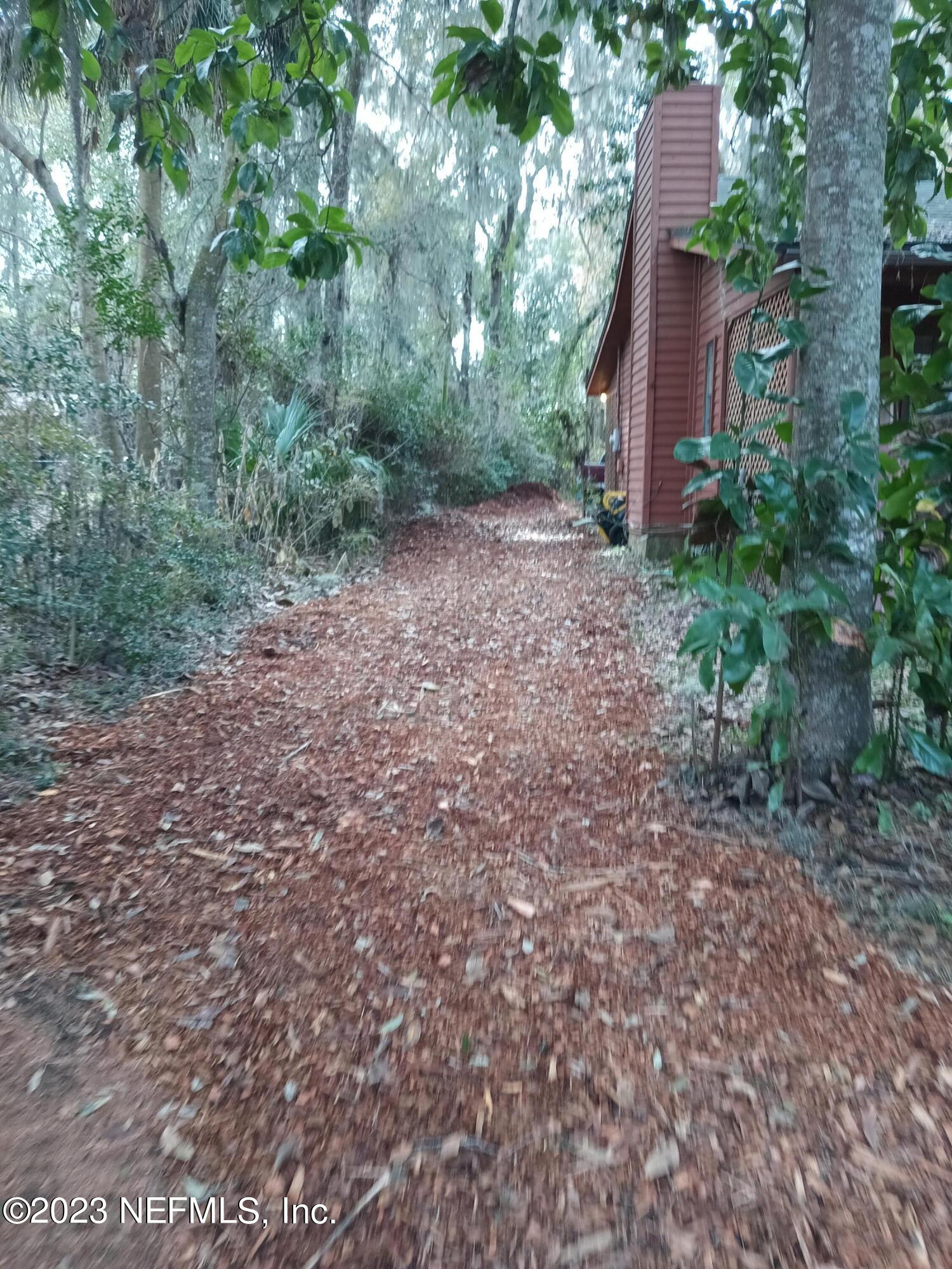 97612 Pirates Point Road Yulee, FL 32097 - Photo 17 of 23 a view of a tall trees with a yard