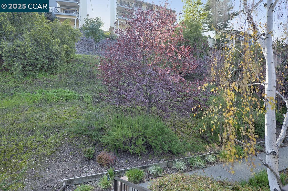 1405 Ptarmigan Drive, Unit 1 Walnut Creek, CA 94595 - Photo 25 of 39 a view of a yard