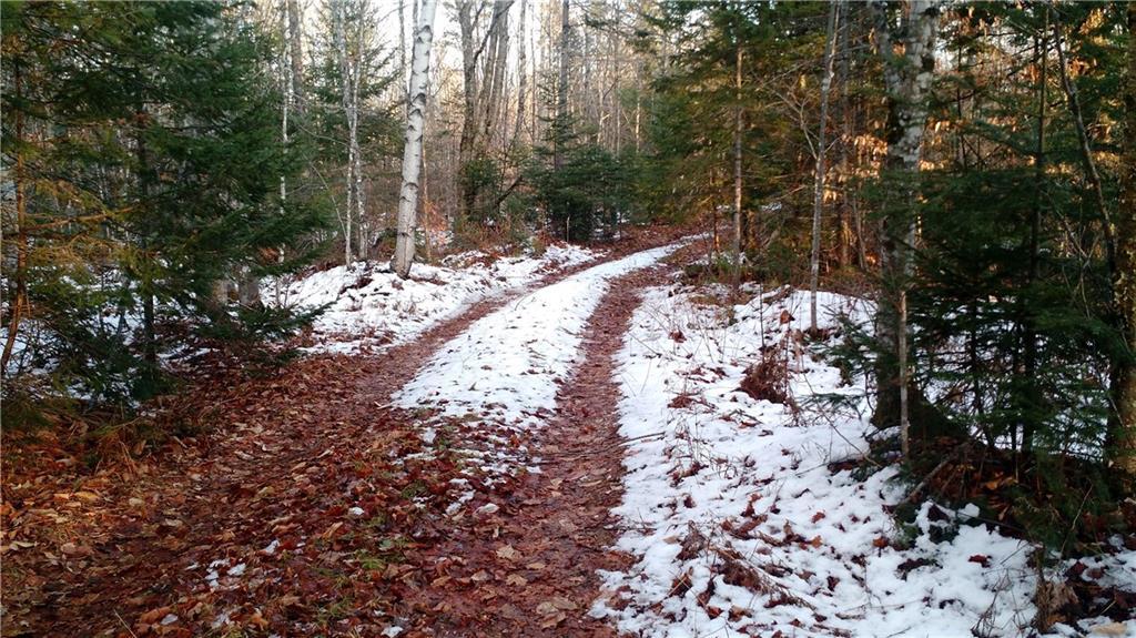 Lot 15 Sam Rowe Ridge Road Springfield, ME 04487 - Photo 6 of 7 Photo