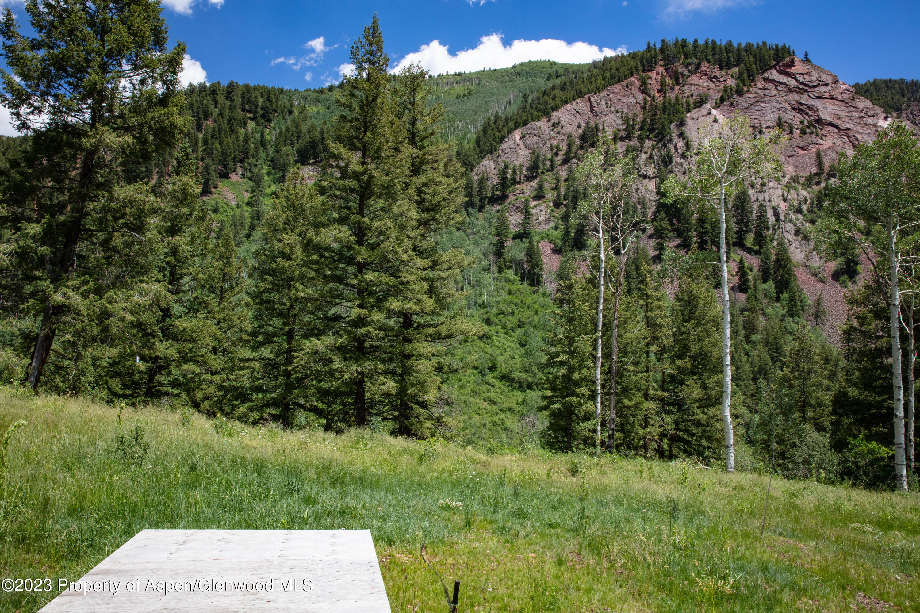 640 South Hayden Road Aspen, CO 81611 - Photo 16 of 42 6c