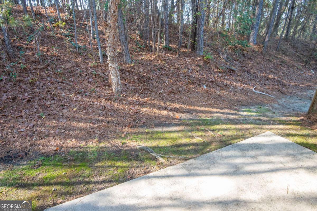 1259 Chinon Point Lithonia, GA 30058 - Photo 26 of 27 a view of a yard with an outdoor space
