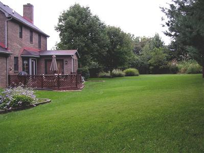 1049 Turnbridge Road Lexington, KY 40515 - Photo 19 of 20 What a back yard!