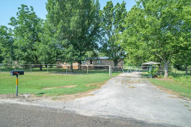 a view of a park with large trees