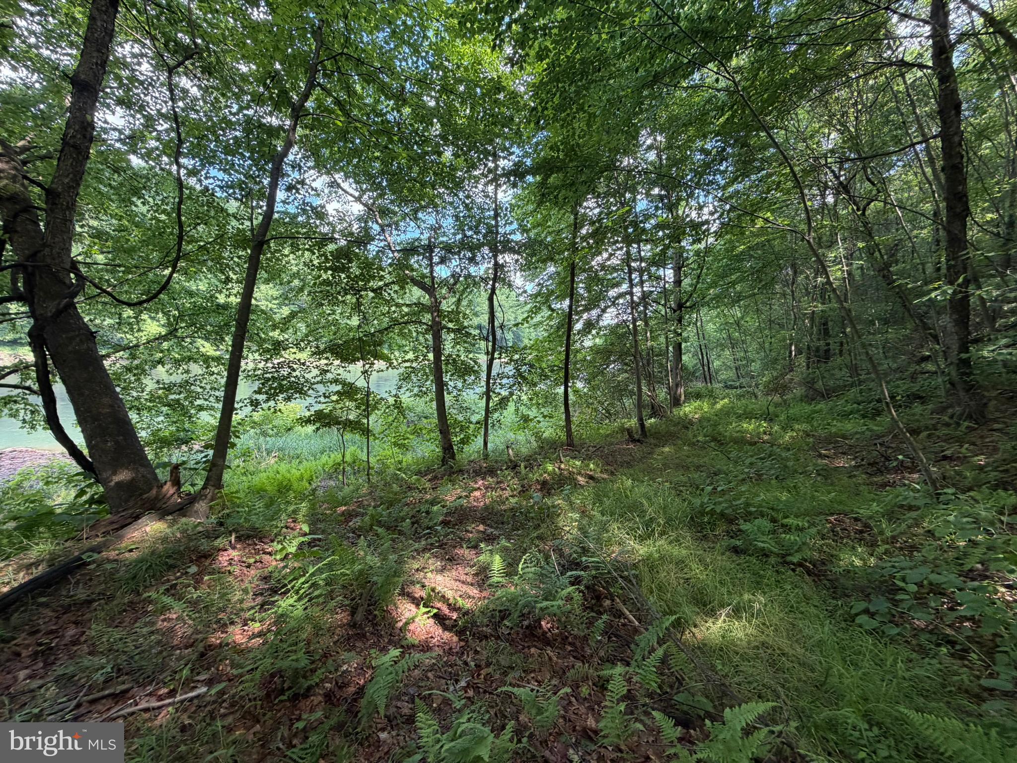 848 Sugar Camp Road Clearfield, PA 16830 - Photo 111 of 118