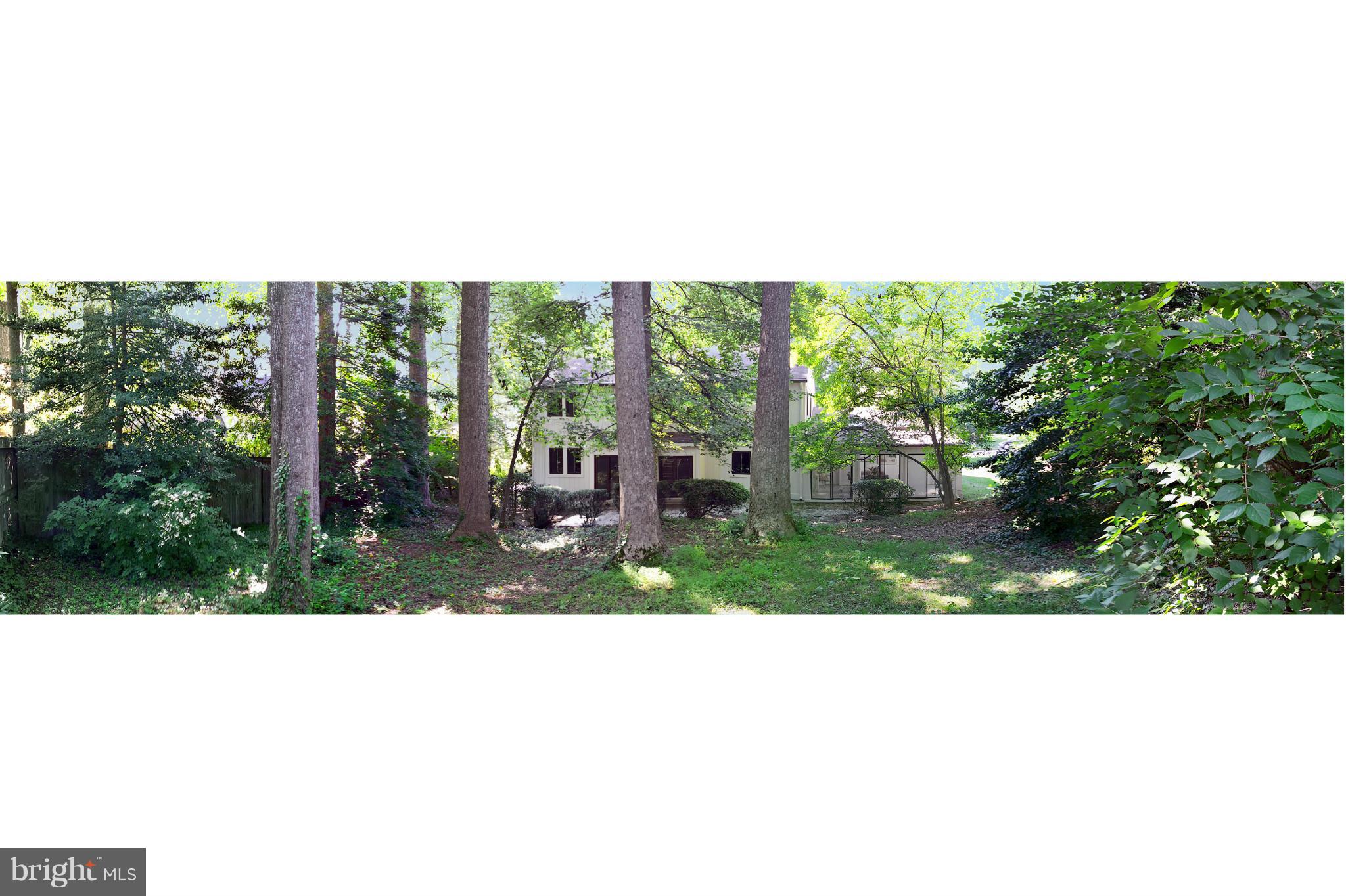 11810 Riders Lane Reston, VA 20191 - Photo 28 of 30 Lush Natural Backyard