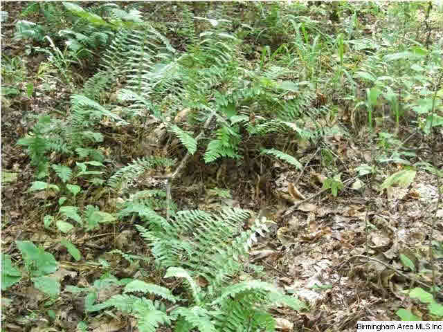 777 Clayton Cove Road, Unit 33 AC Pinson, AL 35126 - Photo 12 of 20