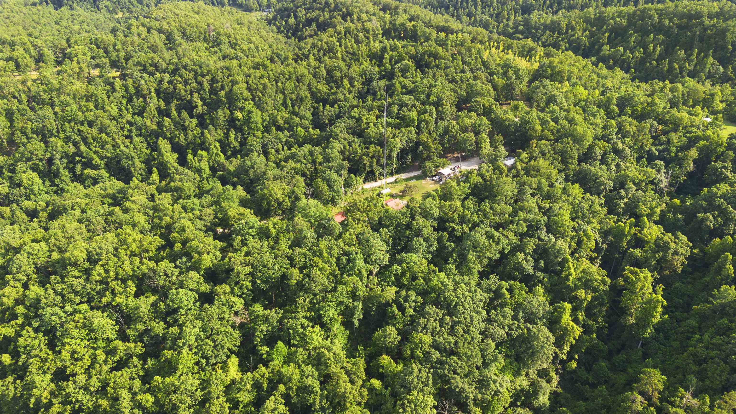 554 Foxfire Mountain Road Grayson, KY 41143 - Photo 34 of 47 Gallery Image 34