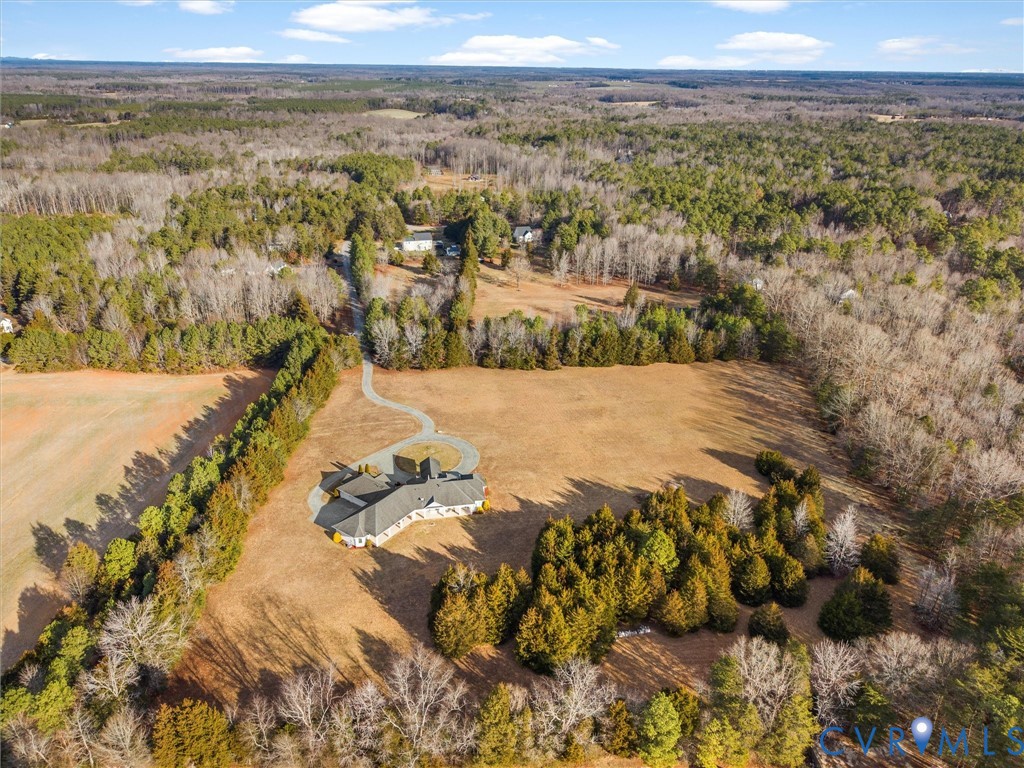 15219 Deep Spring Drive Montpelier, VA 23192 - Photo 48 of 50 TREE LINED PRIVACY FOR THIS OUTSTANDING ESTATE