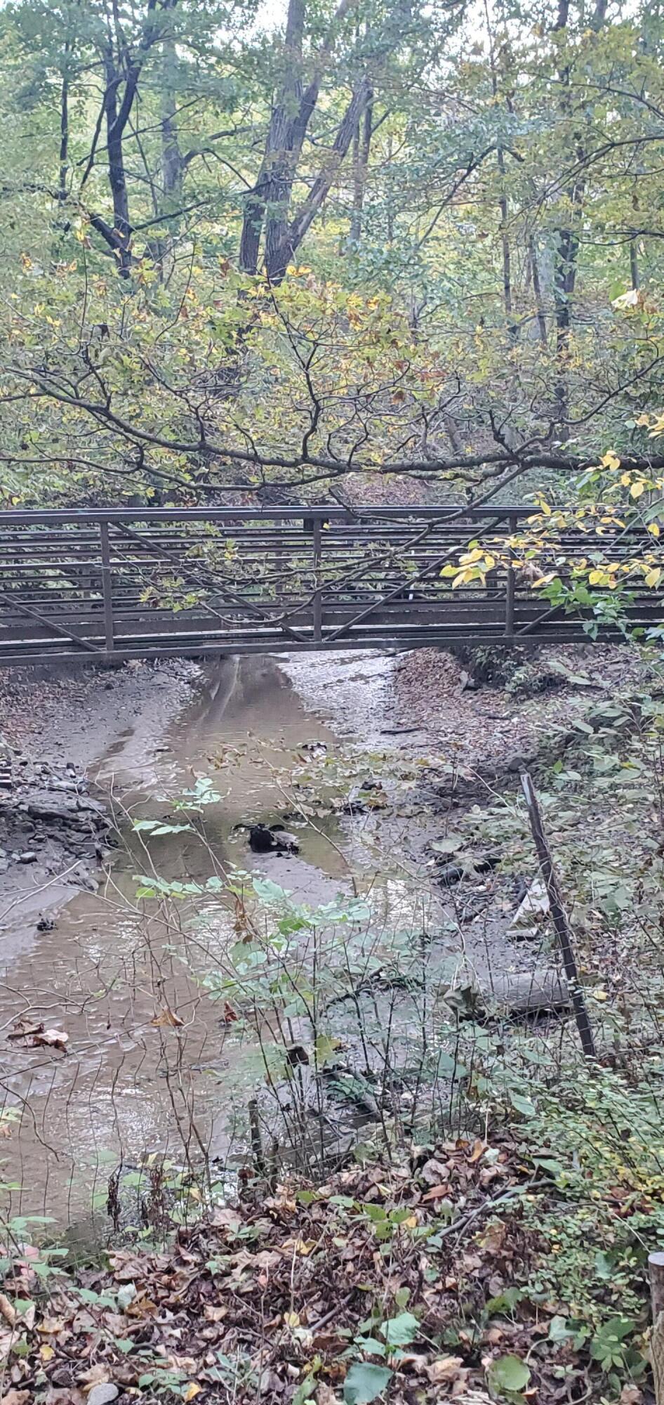 12370 Dunes Road Sawyer, MI 49125 - Photo 36 of 39 Footbridge to Lake Michigan