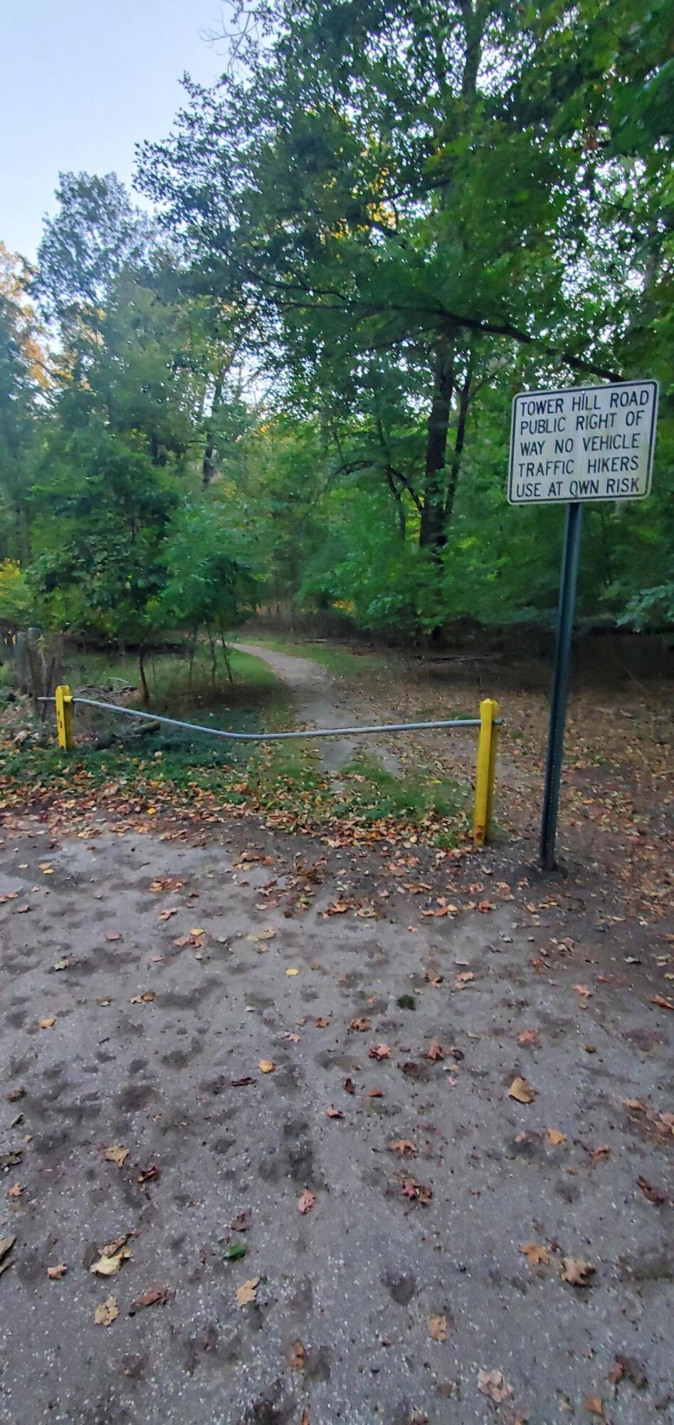12370 Dunes Road Sawyer, MI 49125 - Photo 37 of 39 Access Trail to Lake Michigan