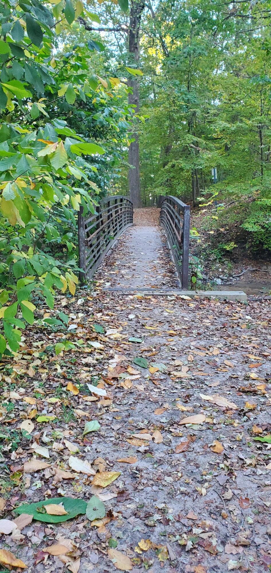 12370 Dunes Road Sawyer, MI 49125 - Photo 38 of 39 Path to Lake Michigan Beach