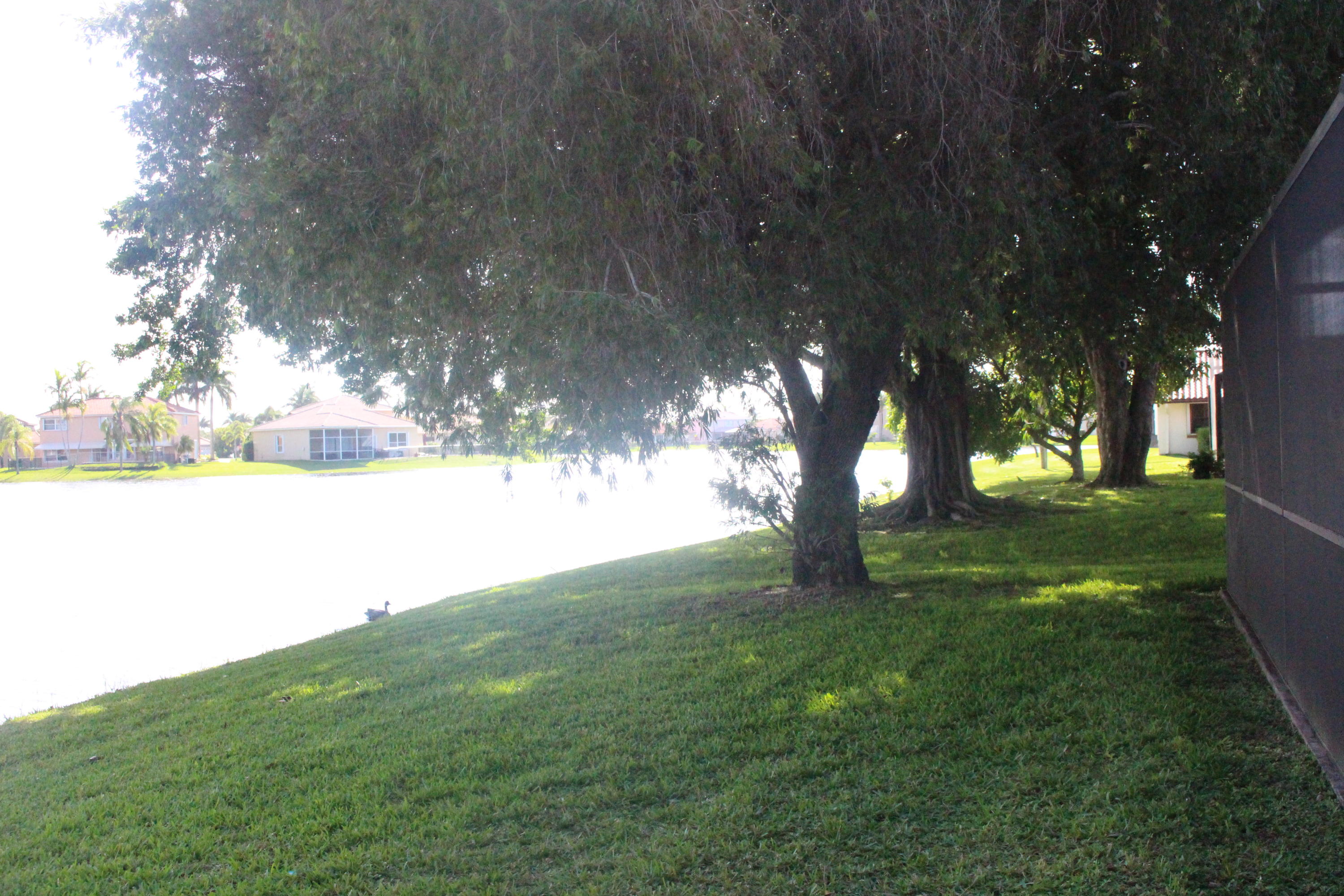 12442 Baywind Court Boca Raton, FL 33428 - Photo 13 of 19 PRIVATE BACK YARD