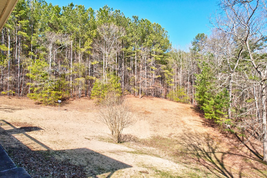 1676 Shoal Creek Road Dawsonville, GA 30534 - Photo 5 of 40 a view of yard along with trees