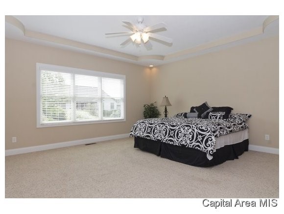 7305 Preston Drive Springfield, IL 62711 - Photo 9 of 22 Gallery Image 9
