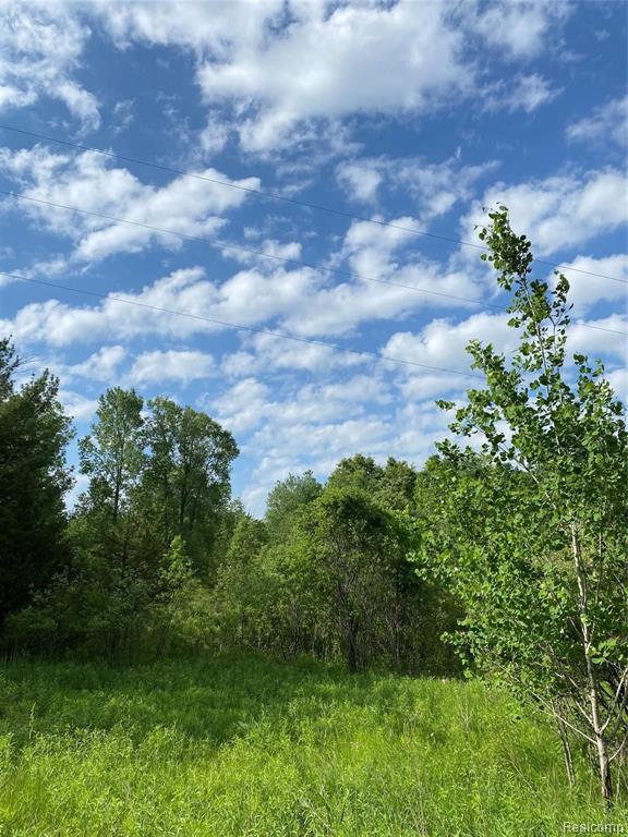 0 Kaiser Road Gregory, MI 48137 - Photo 2 of 29