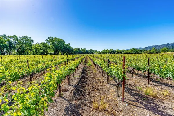 $28,000,000 | Undisclosed Address, Calistoga, CA 94515