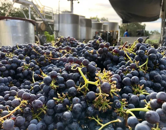 $28,000,000 | Undisclosed Address, Calistoga, CA 94515