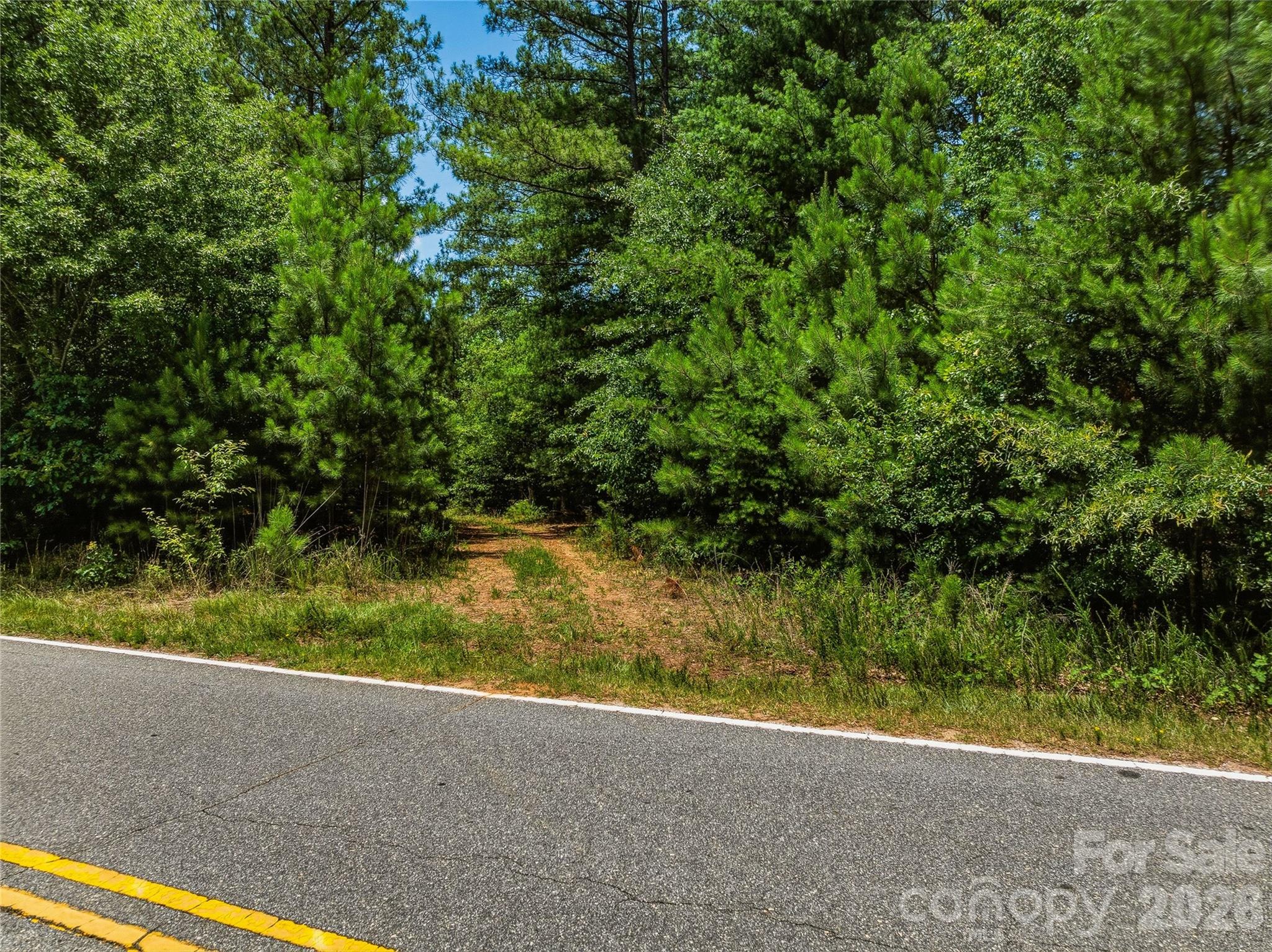 6783 Peniel Road Tryon, NC 28782 - Photo 8 of 36