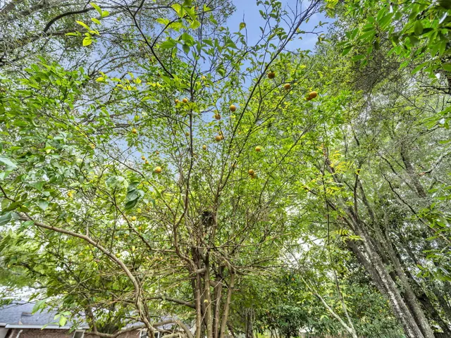 $630,000 | 425 Stahlman Avenue, Destin, FL 32541