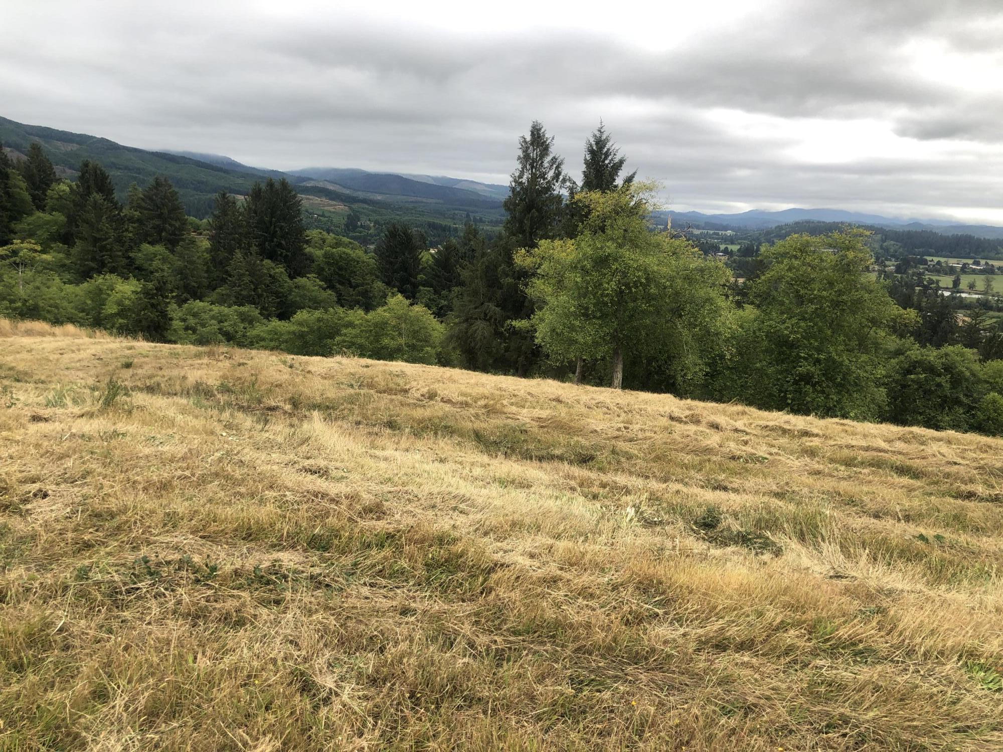 Lot 30 Skyview Road Tillamook, OR 97141 - Photo 4 of 15 IMG_9042