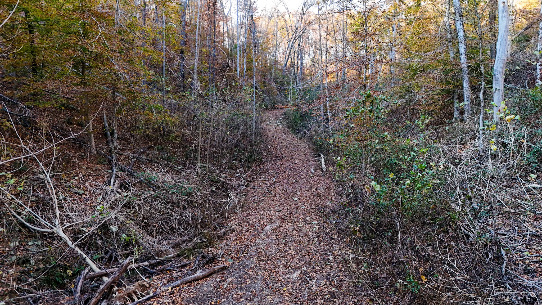0 Chestnut Grove Road Pulaski, TN 38478 - Photo 30 of 37 Gallery Image 30