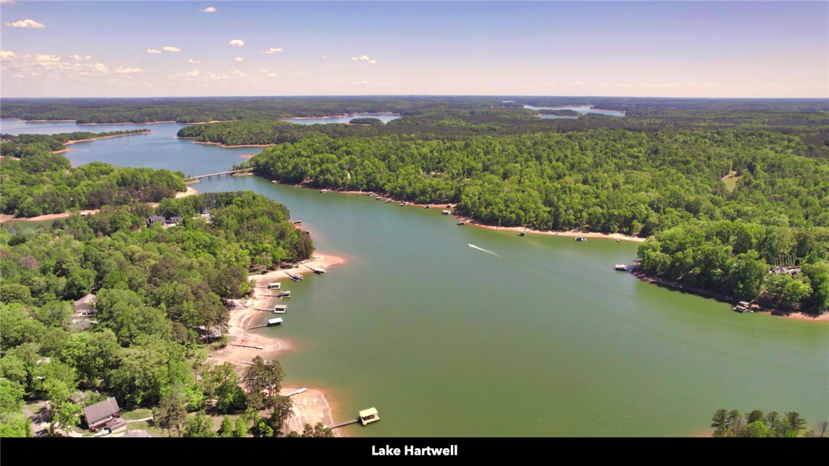26 Wilbanks Road Seneca, SC 29678 - Photo 14 of 47 This breathtaking aerial captures the expansive lake surrounded by lush green forests.
