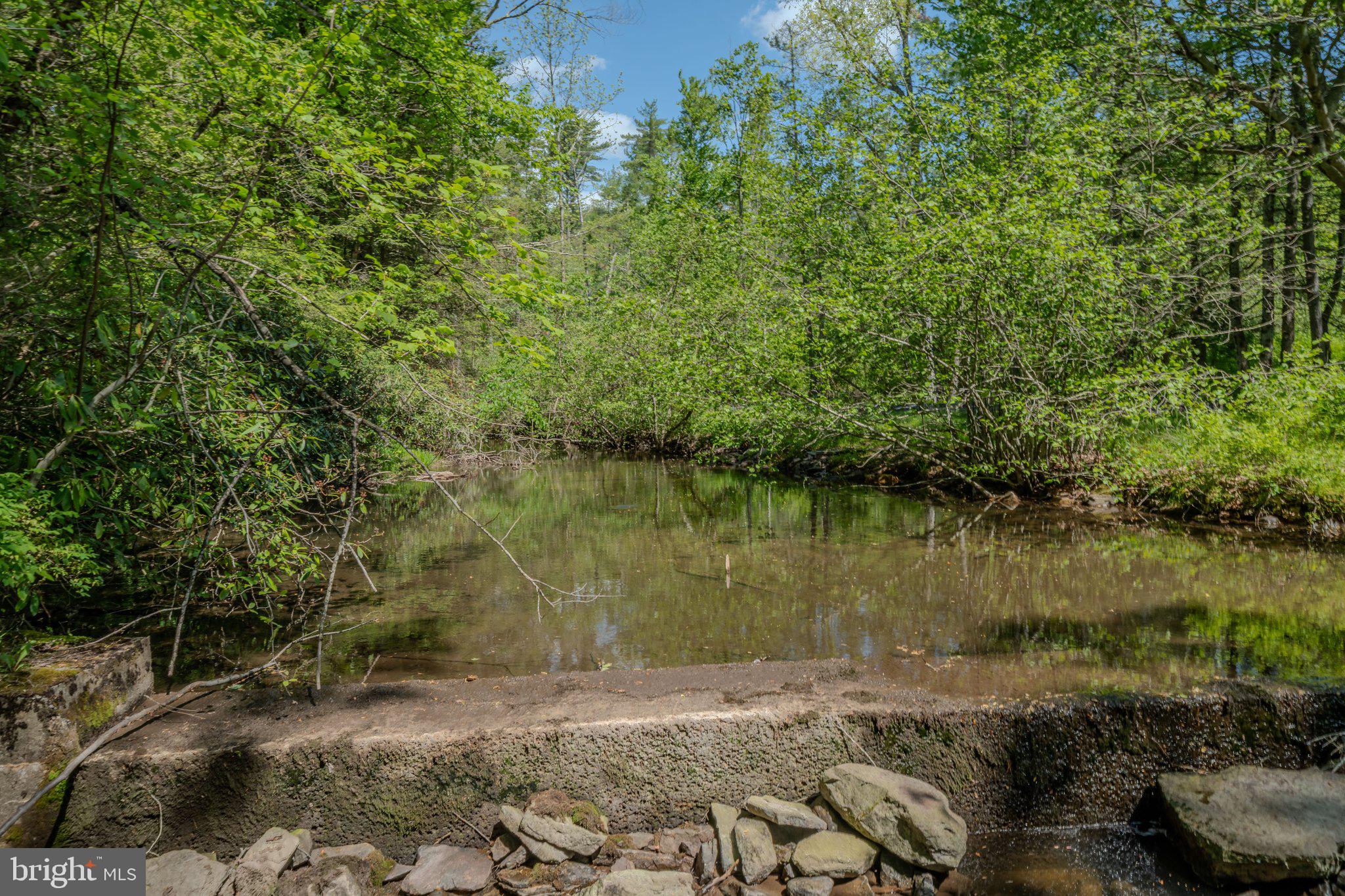 1520 Lingle Valley Road Milroy, PA 17063 - Photo 71 of 144 Serene woodland stream reflection.