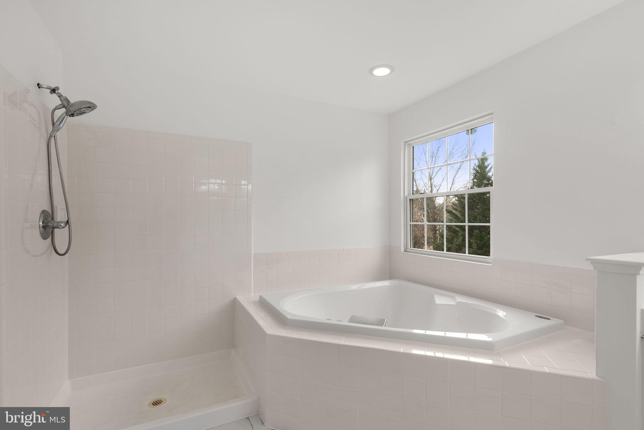 191 Midsummer Drive Frederick, MD 21702 - Photo 31 of 44 Large soaking tub