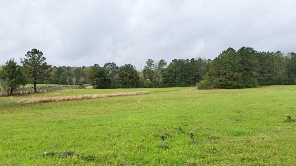 4137 Rollinson Road Liberty, MS 39645 - Photo 8 of 20 Photo 8