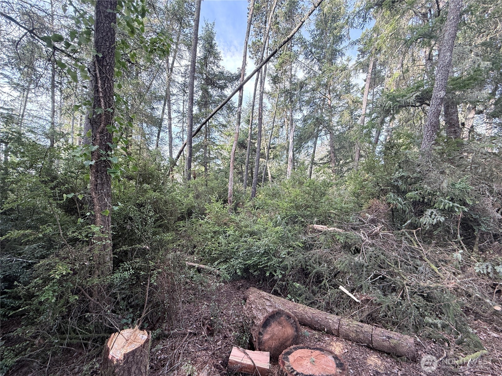 0 U Street Ocean Park, WA 98640 - Photo 3 of 5