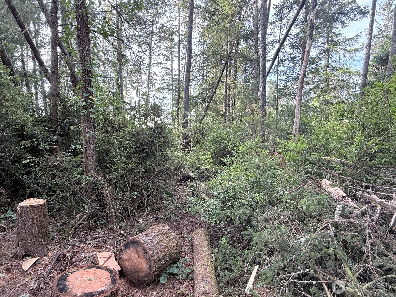 0 U Street Ocean Park, WA 98640 - Photo 4 of 5