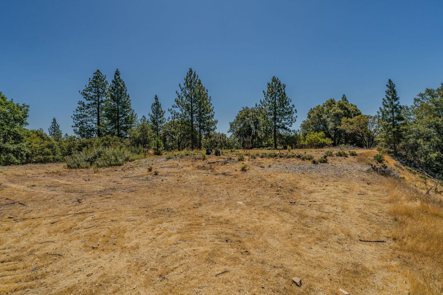 20117 Neilson Road Pine Grove, CA 95665 - Photo 11 of 32 a view of a yard with a tree