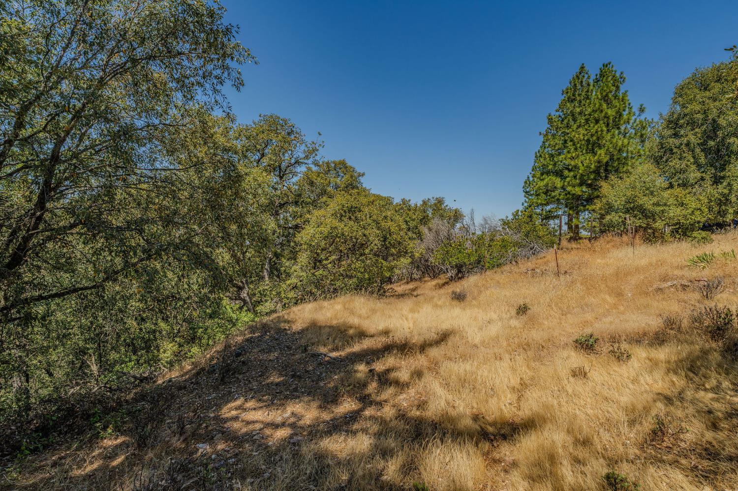 20117 Neilson Road Pine Grove, CA 95665 - Photo 12 of 32 a view of a covered with trees